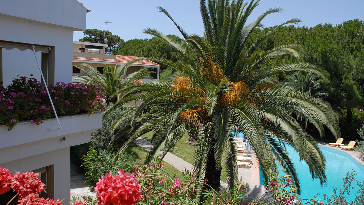 Niki Apartments - NR 